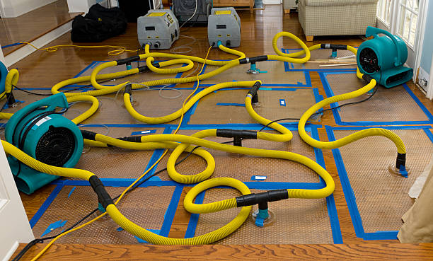Professional Crawl Space Water Removal technician working in Brandeis, CA